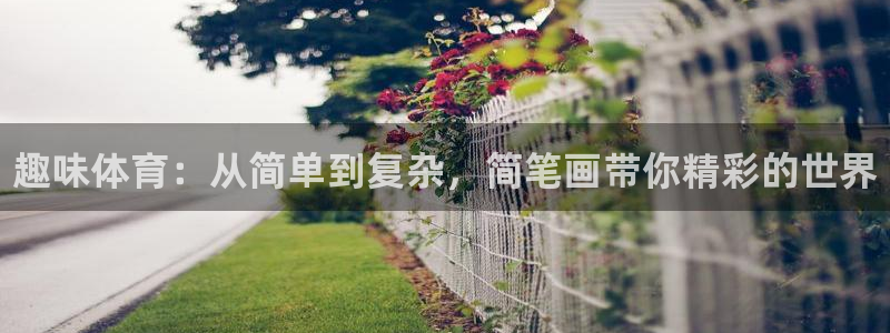 MK体育官方正版app娱乐是那个系列的台子：趣味体育