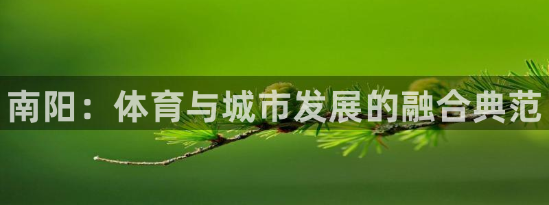 MK体育官网下载招商电话号码查询：南阳：体育与城市发