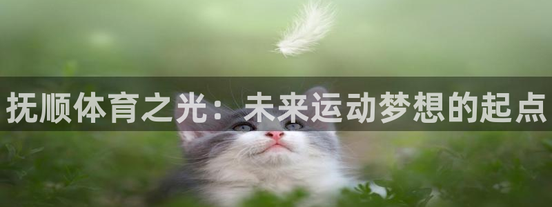 MK体育官网下载招商电话：抚顺体育之光：未来运动梦想