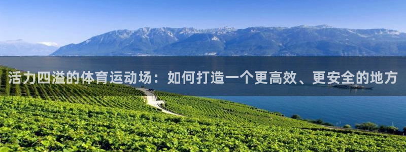 MK体育官方正版app集团简介：活力四溢的体育运动场