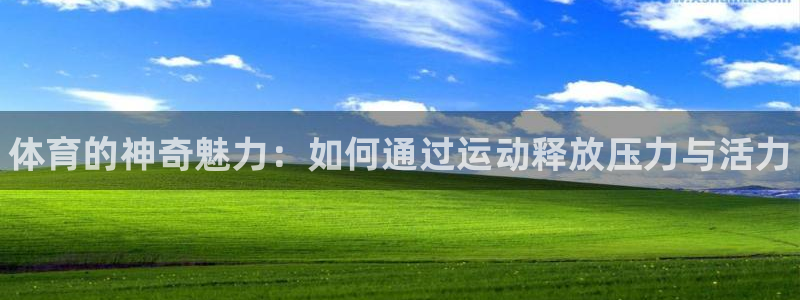 MK体育官方正版app科技：体育的神奇魅力：如何通过运动释放