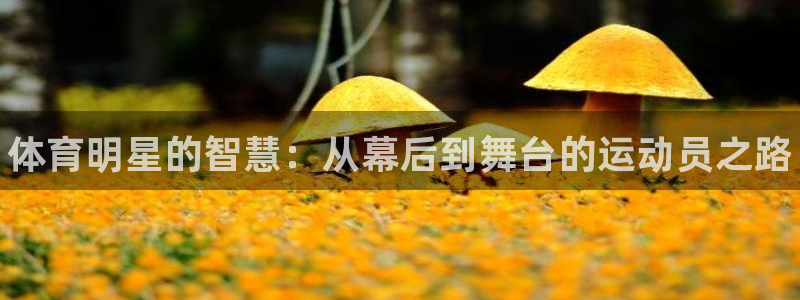 MK体育官网下载招商电话号码是多少啊：体育明星的智慧