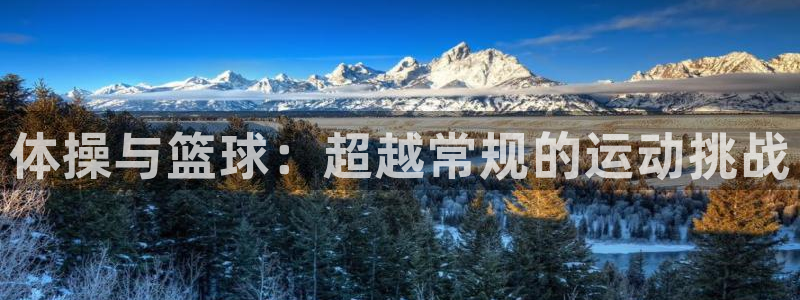 MK体育官方正版app娱乐是那个系列的台子：体操与篮
