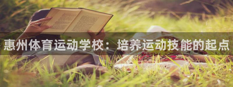 MK体育官方正版app集团logo