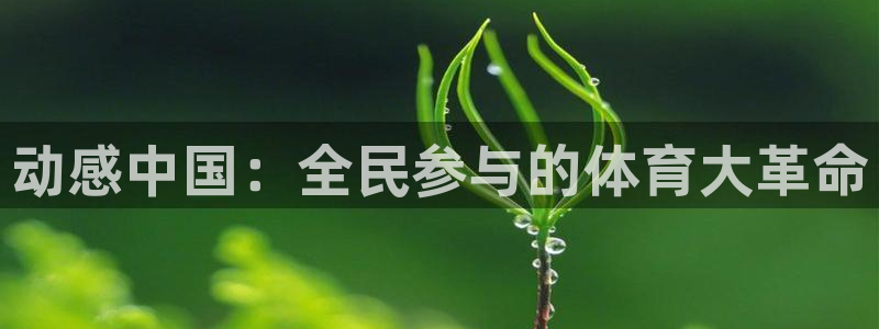 MK体育官网下载平台注册流程视频：动感中国：全民参与