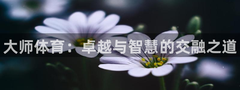 MK体育官网下载平台注册流程图：大师体育：卓越与智慧的交融之