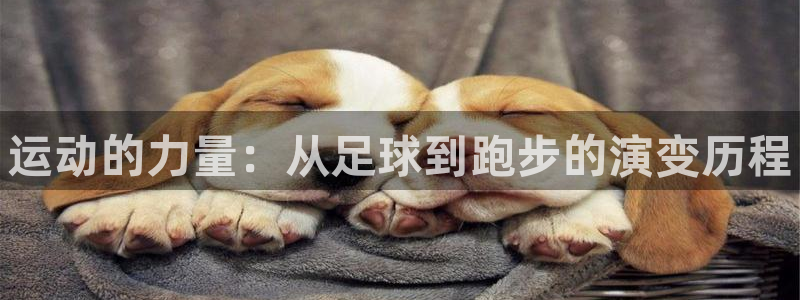 MK体育官方正版app娱乐首页官网下载：运动的力量：从足球到