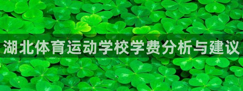 MK体育官方正版app集团官网网址