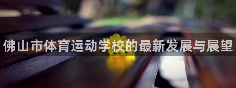 MK体育官方正版app娱乐下载：佛山市体育运动学校的最新发展