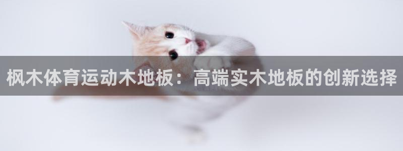 MK体育官网下载招商电话地址查询：枫木体育运动木地板：高端实