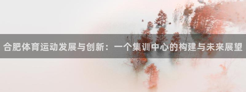 MK体育官方正版app娱乐：合肥体育运动发展与创新：一个集训