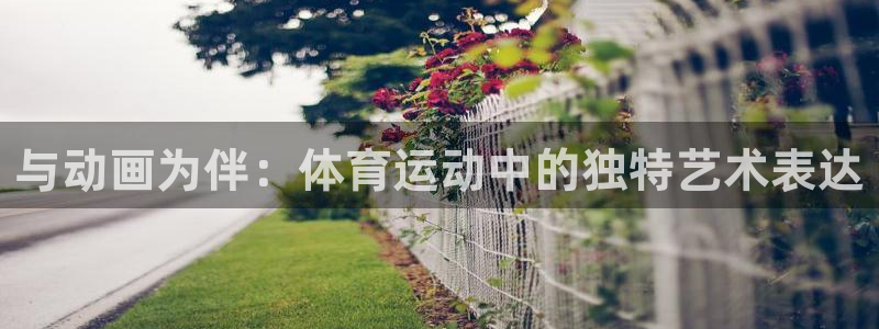 MK体育官网下载招商电话地址：与动画为伴：体育运动中的独特艺