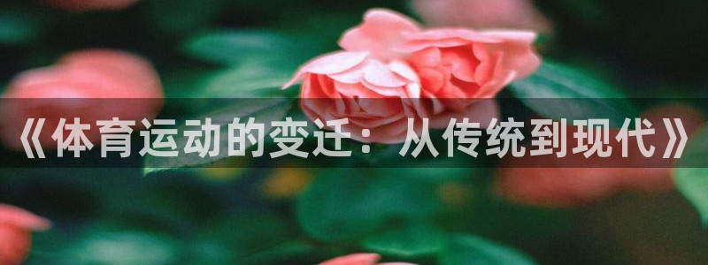 MK体育官方正版app科技