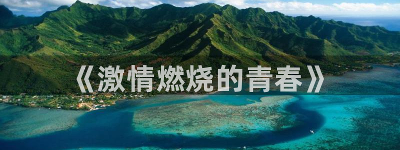 MK体育官方正版app集团简介:《激情燃烧的青春》