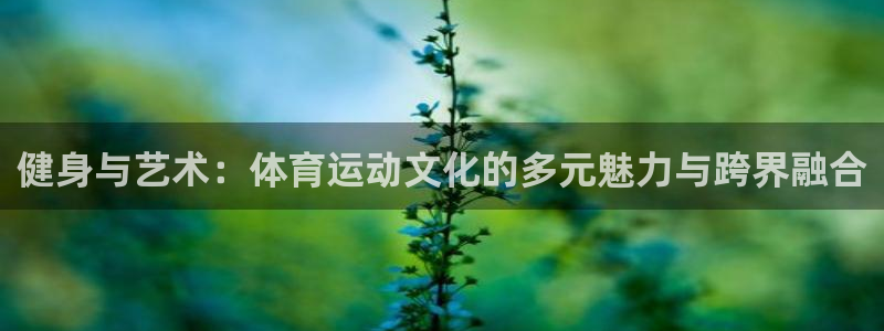 MK体育官网下载招商:健身与艺术:体育运动文化的多元魅力与跨