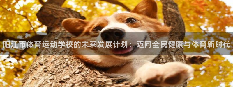 注册MK体育官方正版app:阳江市体育运动学校的未来发展计划