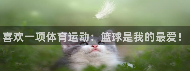 MK体育官网下载招商电话是多少：喜欢一项体育运动：篮球是我的