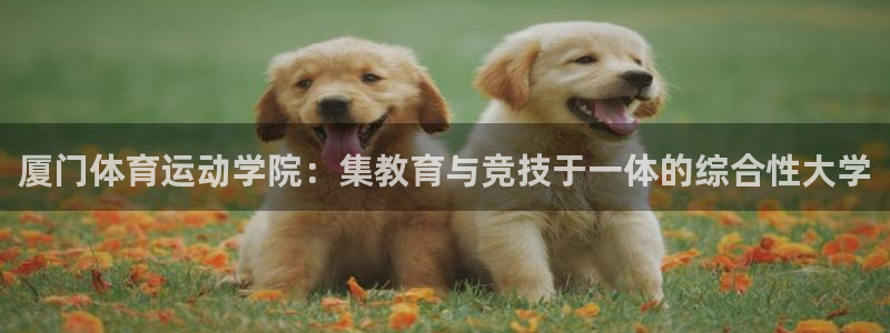 MK体育官方正版app神州：厦门体育运动学院：集教育与竞技于
