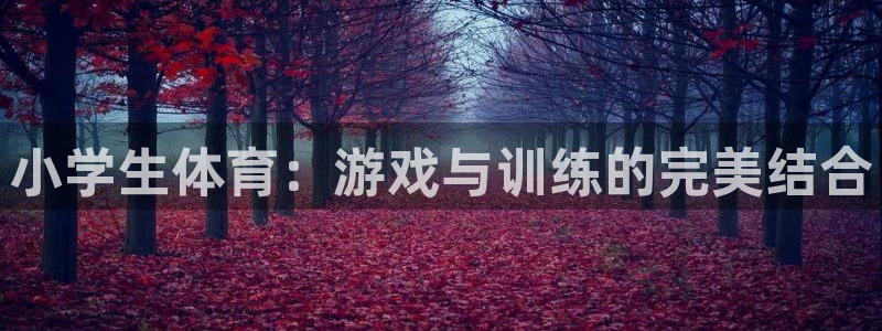 MK体育官方正版app娱乐首页网站大全：小学生体育：