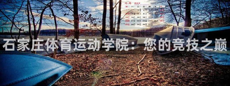 MK体育官方正版app娱乐代理怎么样：石家庄体育运动学院：您