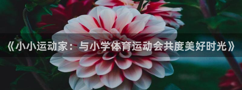 MK体育官方正版app官网：《小小运动家：与小学体育运动会共