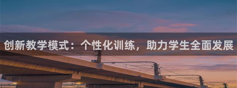 德国MK体育官方正版app集团：创新教学模式：个性化训练，助