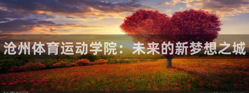 MK体育官网下载平台APP：沧州体育运动学院：未来的新梦想之