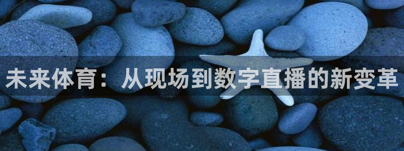新球体育赛事：未来体育：从现场到数字直播的新变革