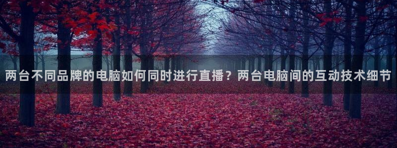 新球足球直播：两台不同品牌的电脑如何同时进行直播？两台电脑间的互动技术细节