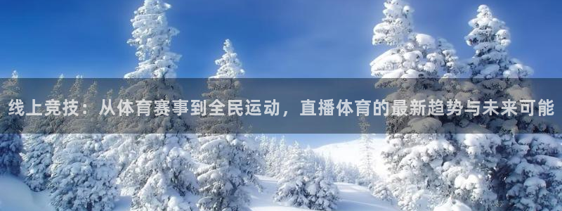 新球体育网球比分