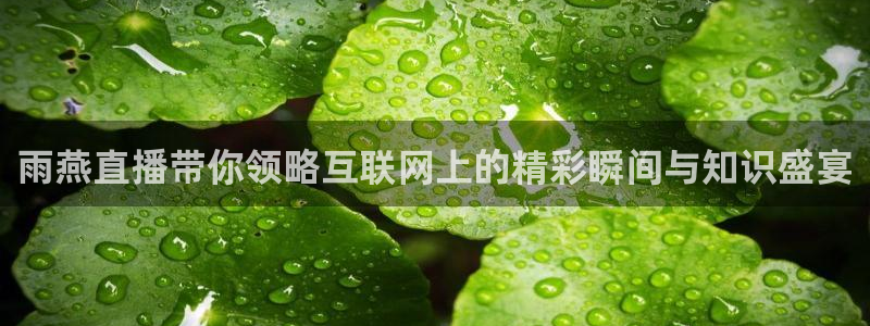 新球体育直播：雨燕直播带你领略互联网上的精彩瞬间与知识盛宴