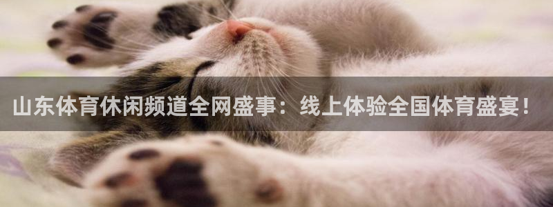 新球体育足球官网：山东体育休闲频道全网盛事：线上体验全国体育盛宴！