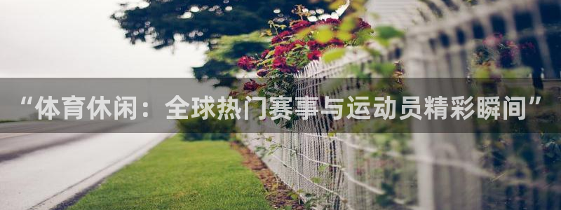 新球体育足球：“体育休闲：全球热门赛事与运动员精彩瞬间”